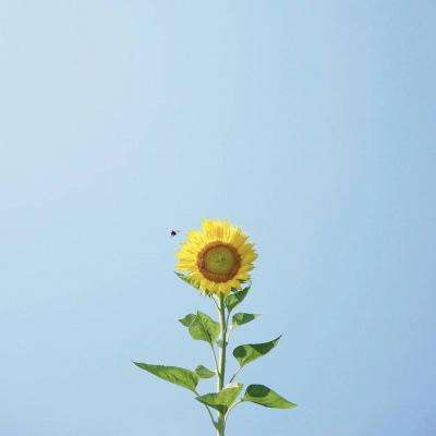 赢钱游戏平台截图